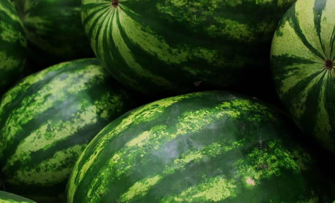 Usta manavlar biliyor sadece bu sırları! Karpuz seçerken yapın asla kelek çıkmıyor - Resim: 17